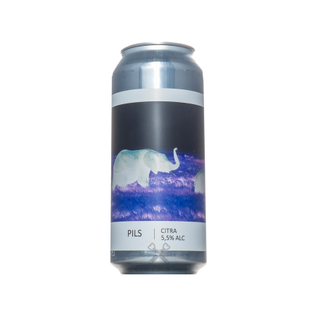 Pils Citra