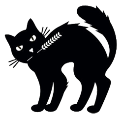Black-cat-brewing-logo